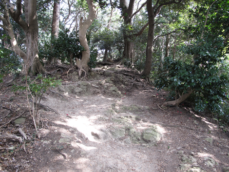 20180223hike (159)